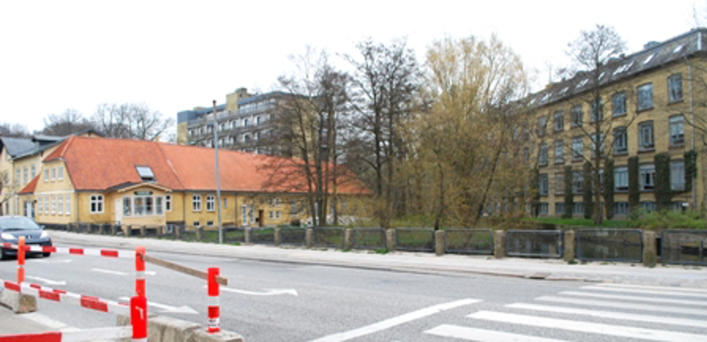 Den gule længe