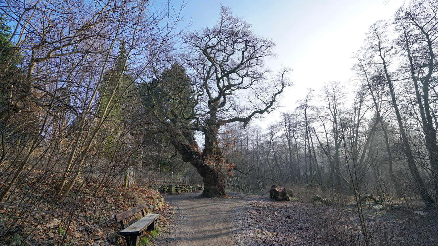 Klopstock
