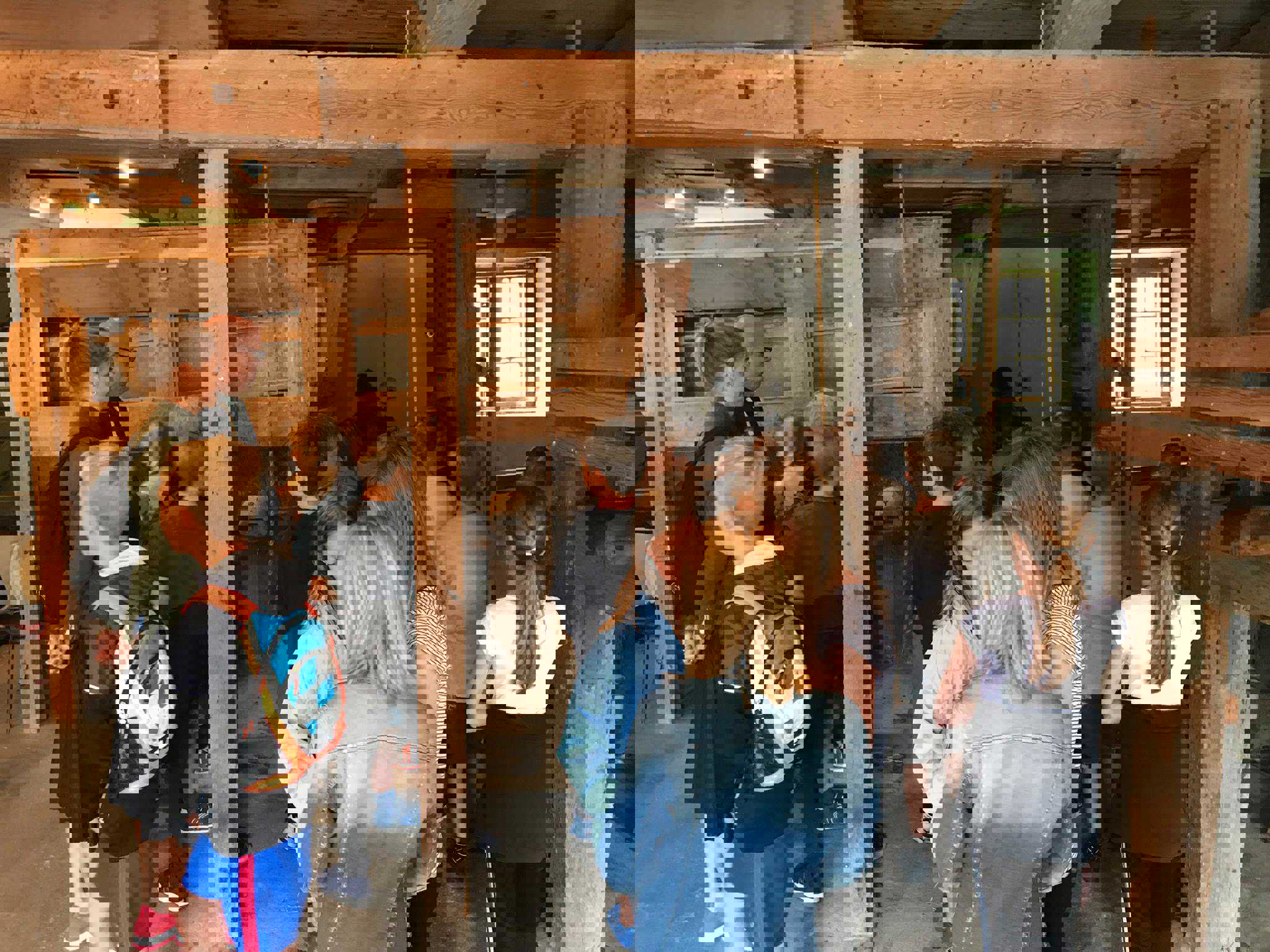 Undervisning