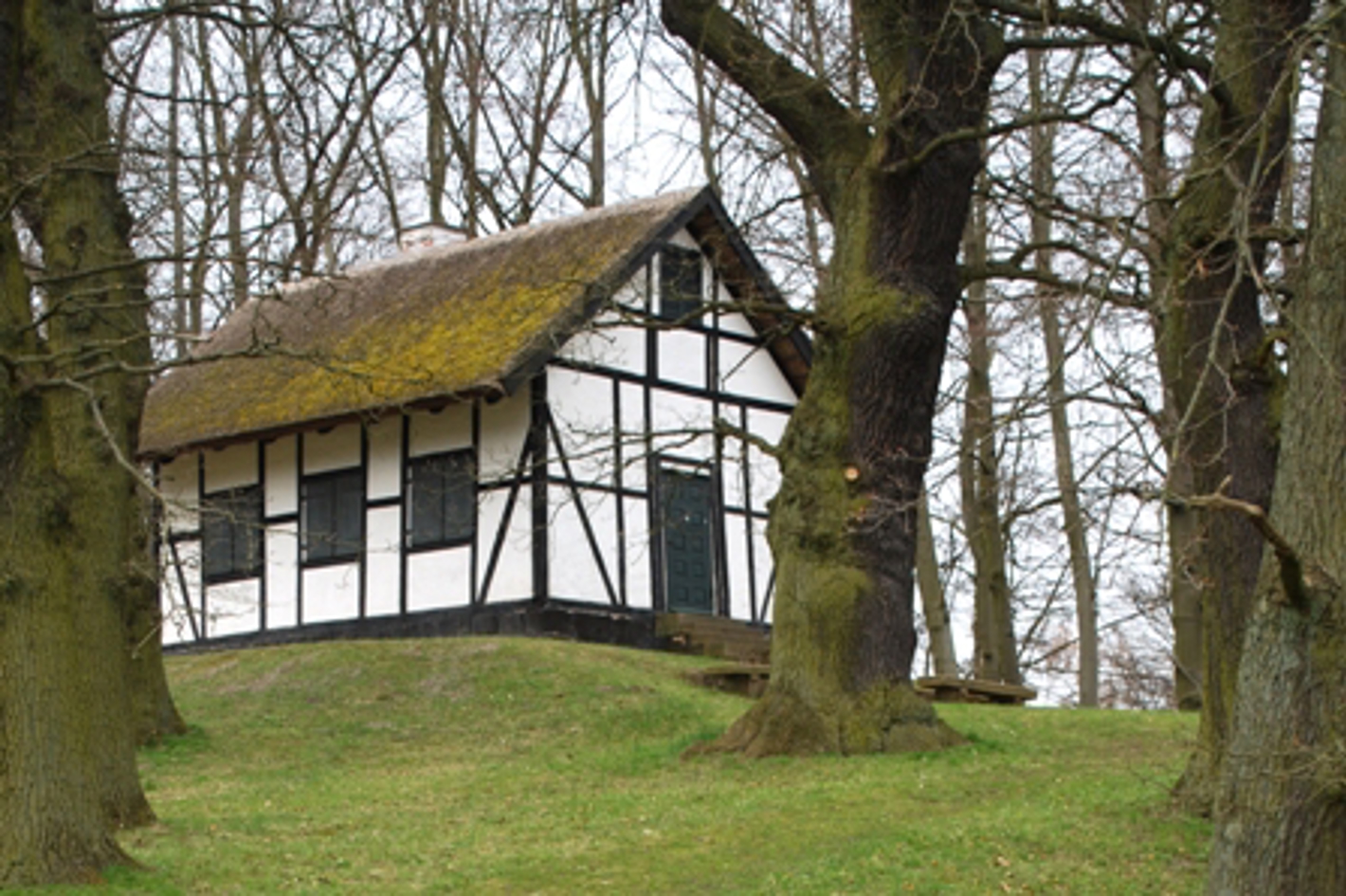 Schweitzerhuset