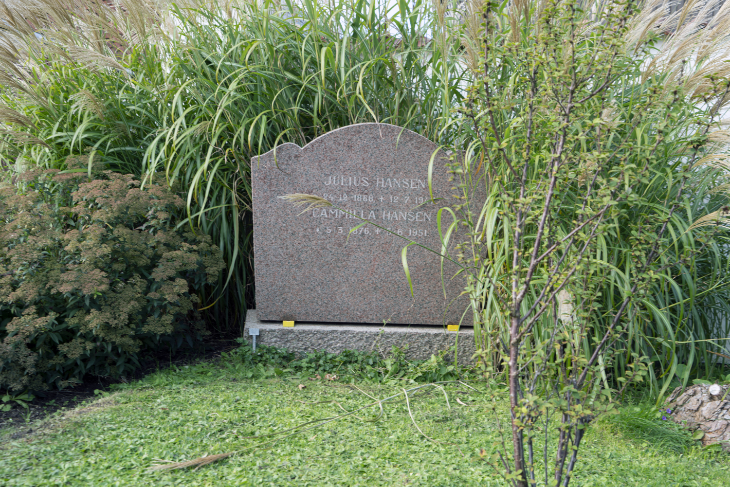 Hansen