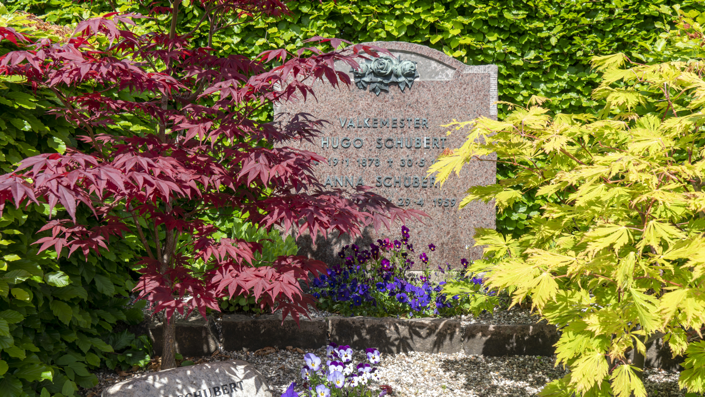 Schubert