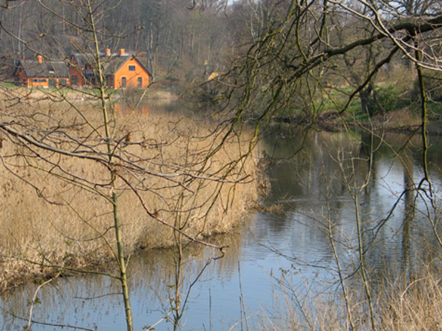 Mølleåen mellem Ørholm og Nymølle
